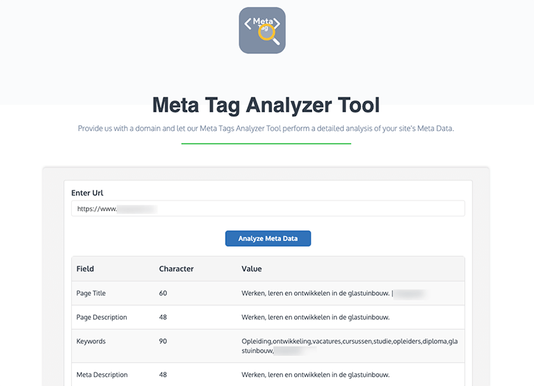 meta name keywords analyzer