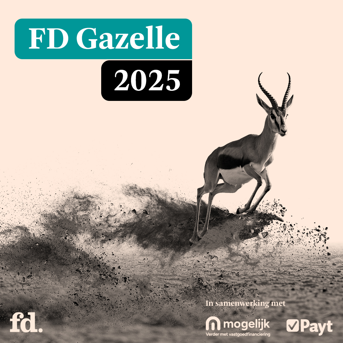 FD Gazelle Award – 2025
